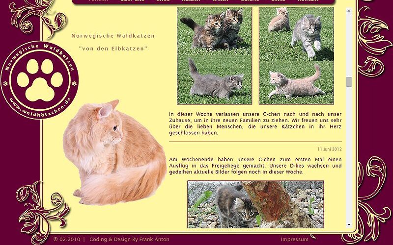 Elbkatzen – Züchterseite
